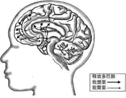 安徽得潤(rùn)電氣 成套高低壓開關(guān)柜 廠家 報(bào)價(jià) 電話：400-0551-777 qq：3176885416